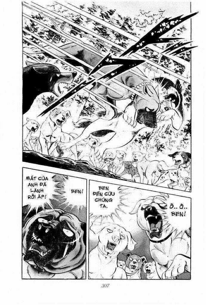Chú Chó Có Nghĩa - Ginga Nagareboshi Gin Chapter 30.2 trang 29
