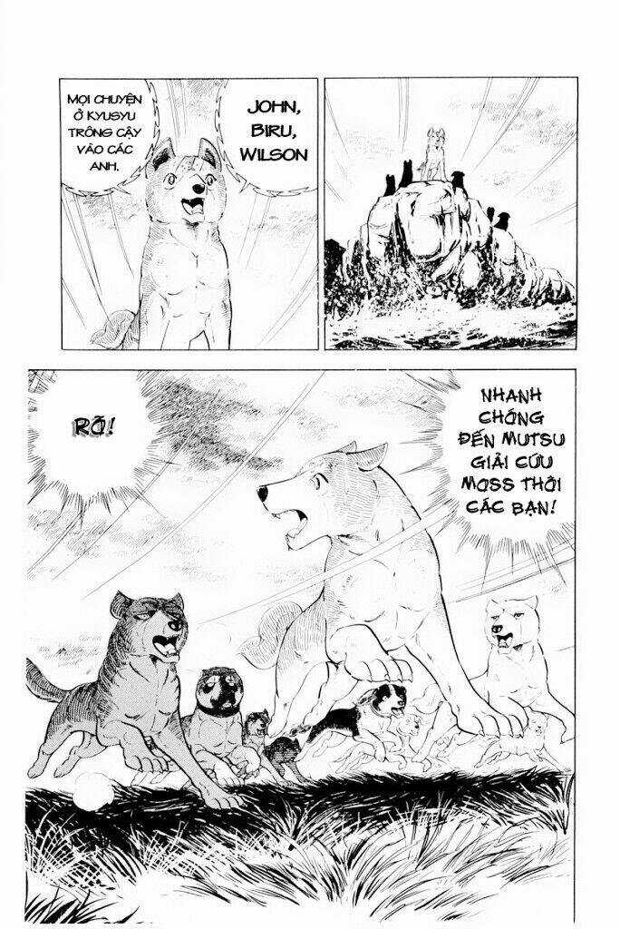 Chú Chó Có Nghĩa - Ginga Nagareboshi Gin Chapter 30.2 trang 3