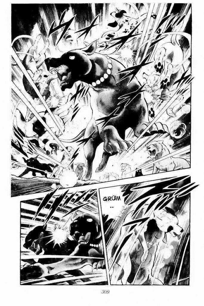 Chú Chó Có Nghĩa - Ginga Nagareboshi Gin Chapter 30.2 trang 31