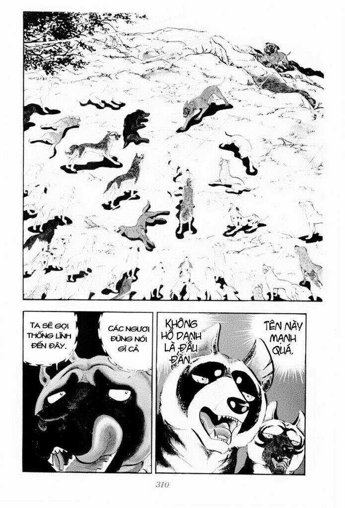 Chú Chó Có Nghĩa - Ginga Nagareboshi Gin Chapter 30.2 trang 32