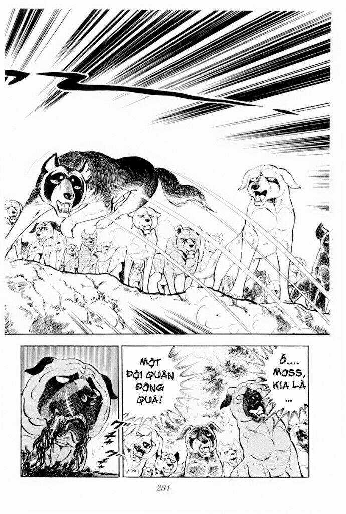 Chú Chó Có Nghĩa - Ginga Nagareboshi Gin Chapter 30.2 trang 6