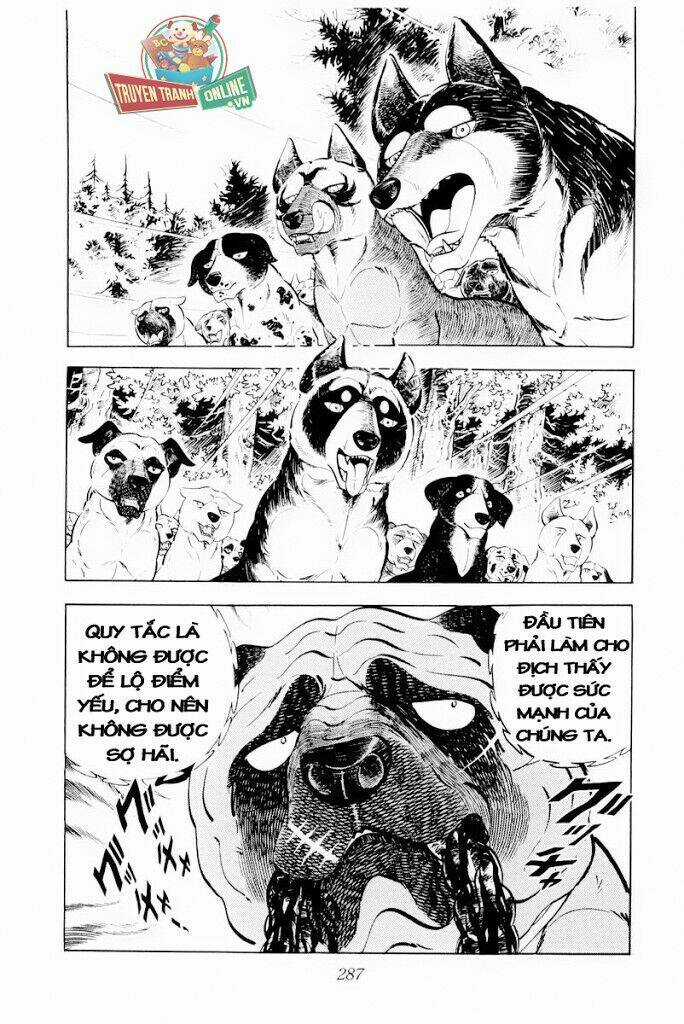 Chú Chó Có Nghĩa - Ginga Nagareboshi Gin Chapter 30.2 trang 9