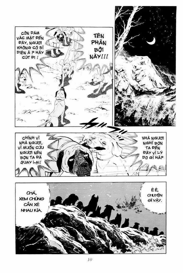 Chú Chó Có Nghĩa - Ginga Nagareboshi Gin Chapter 31 trang 10