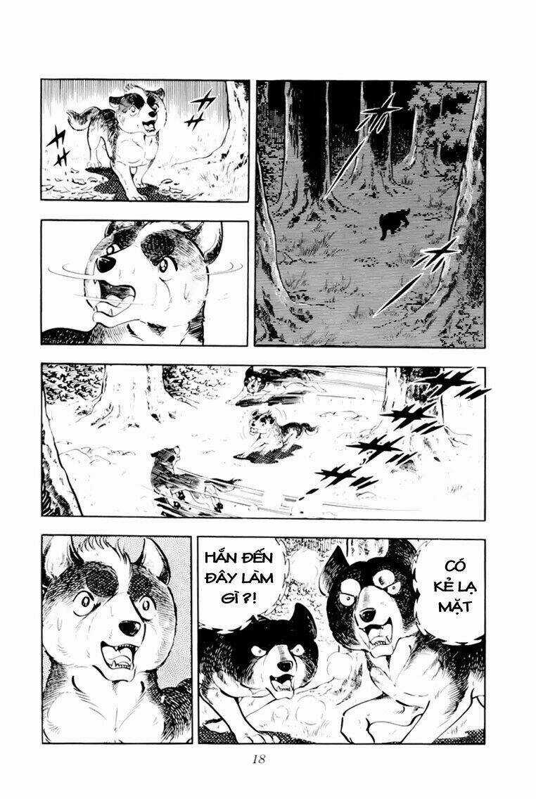 Chú Chó Có Nghĩa - Ginga Nagareboshi Gin Chapter 31 trang 18