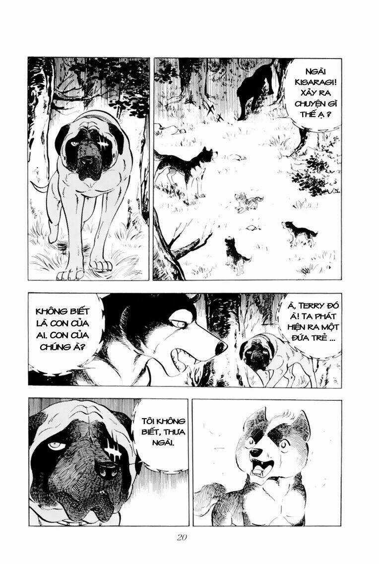 Chú Chó Có Nghĩa - Ginga Nagareboshi Gin Chapter 31 trang 20