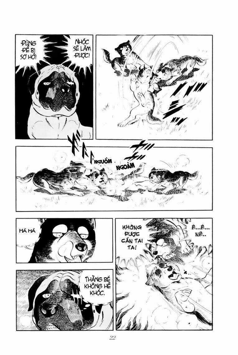 Chú Chó Có Nghĩa - Ginga Nagareboshi Gin Chapter 31 trang 22