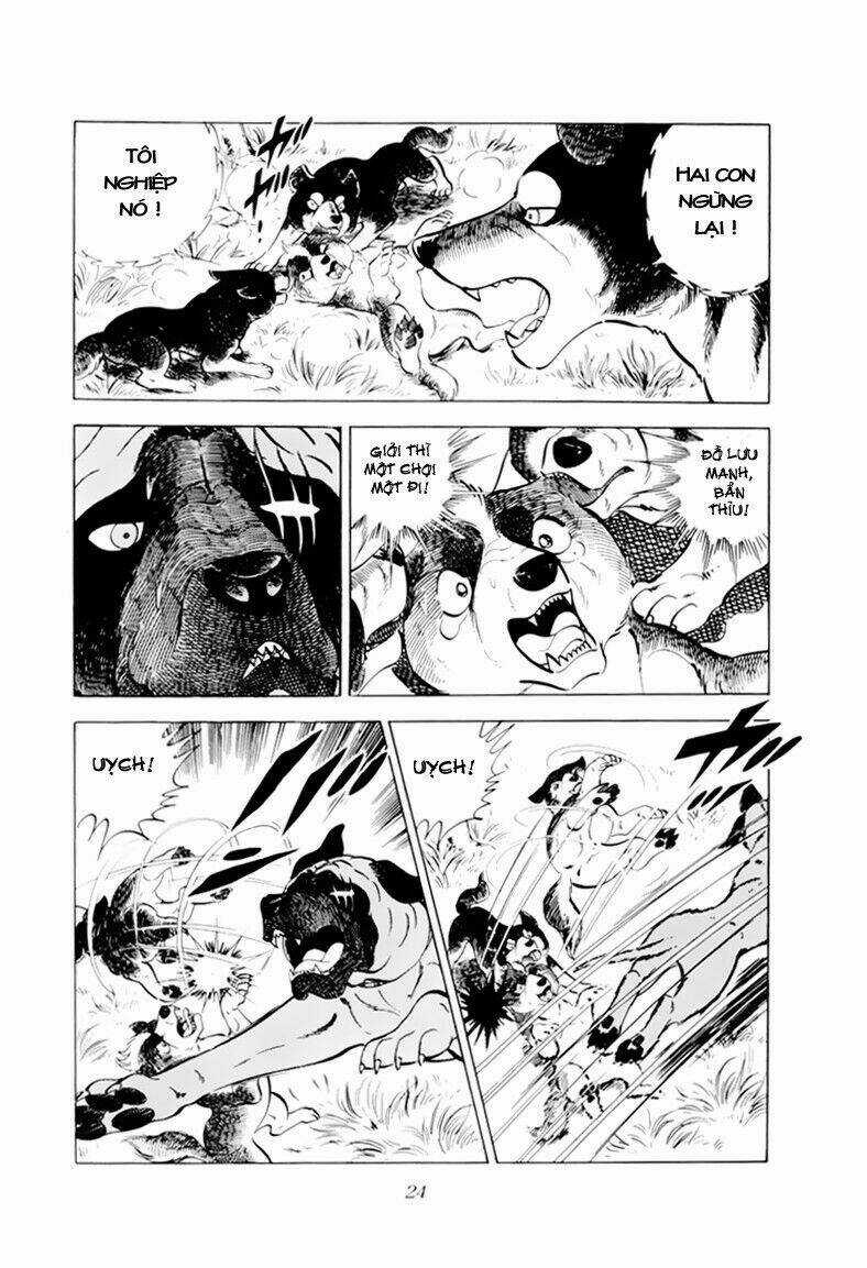 Chú Chó Có Nghĩa - Ginga Nagareboshi Gin Chapter 31 trang 24