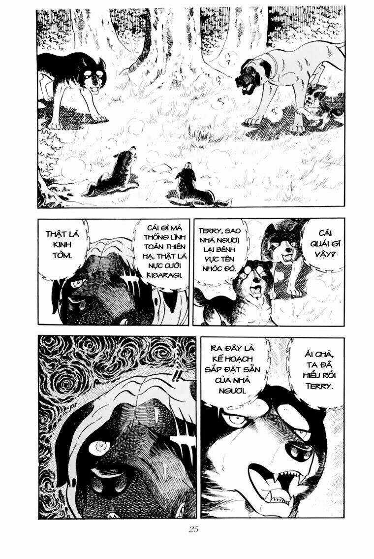 Chú Chó Có Nghĩa - Ginga Nagareboshi Gin Chapter 31 trang 25