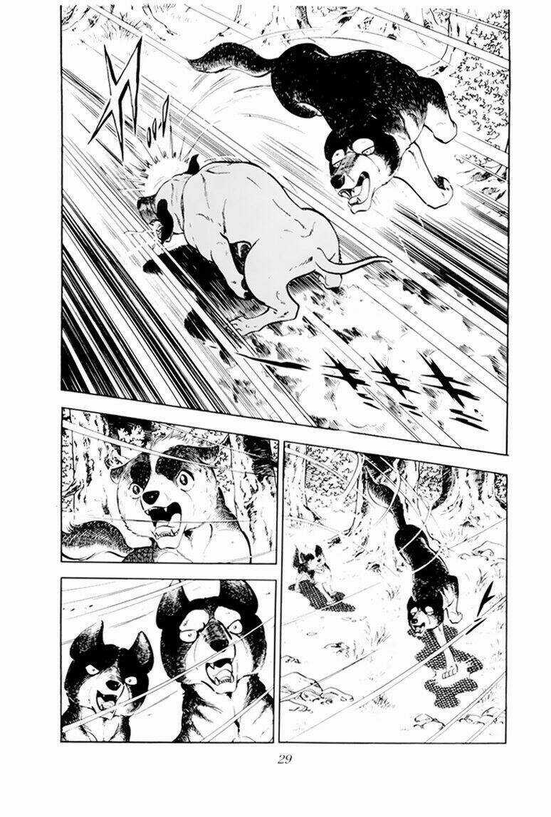 Chú Chó Có Nghĩa - Ginga Nagareboshi Gin Chapter 31 trang 28