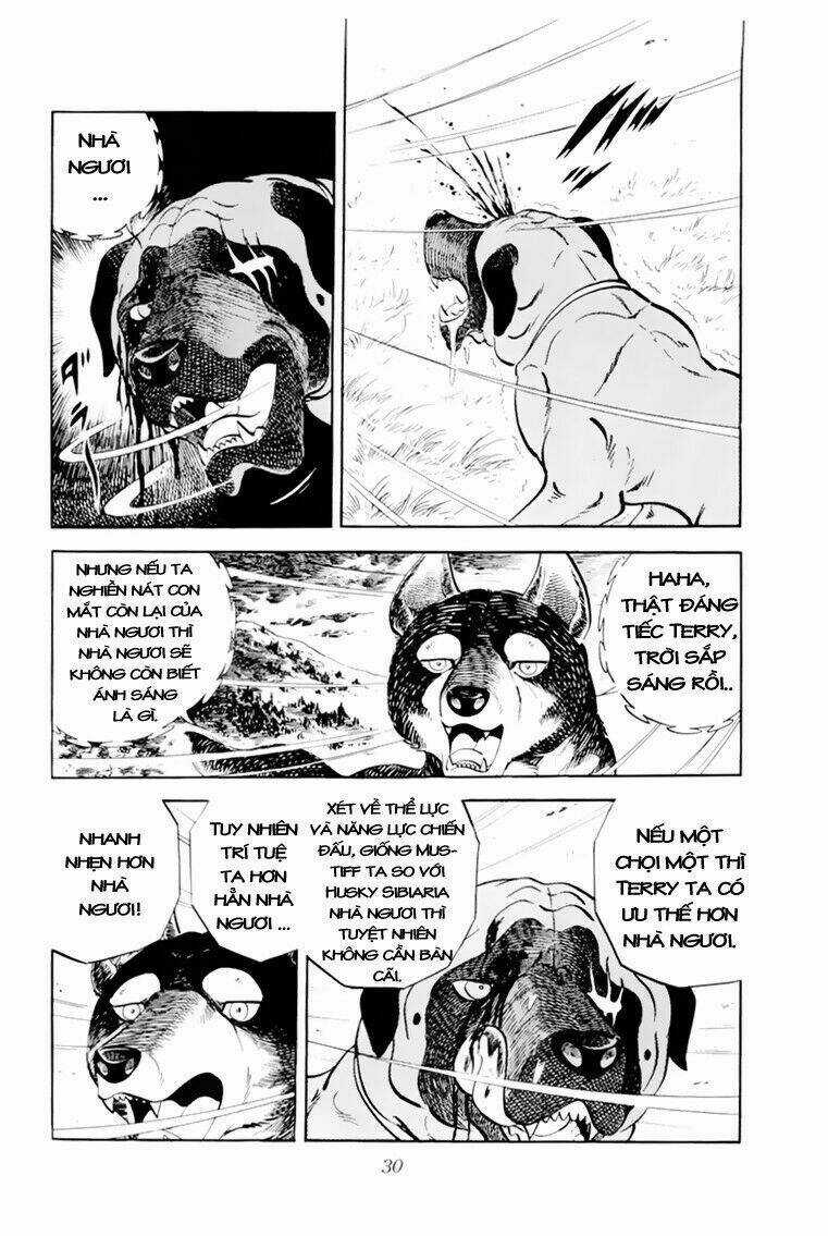 Chú Chó Có Nghĩa - Ginga Nagareboshi Gin Chapter 31 trang 29