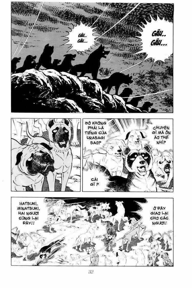 Chú Chó Có Nghĩa - Ginga Nagareboshi Gin Chapter 31 trang 31
