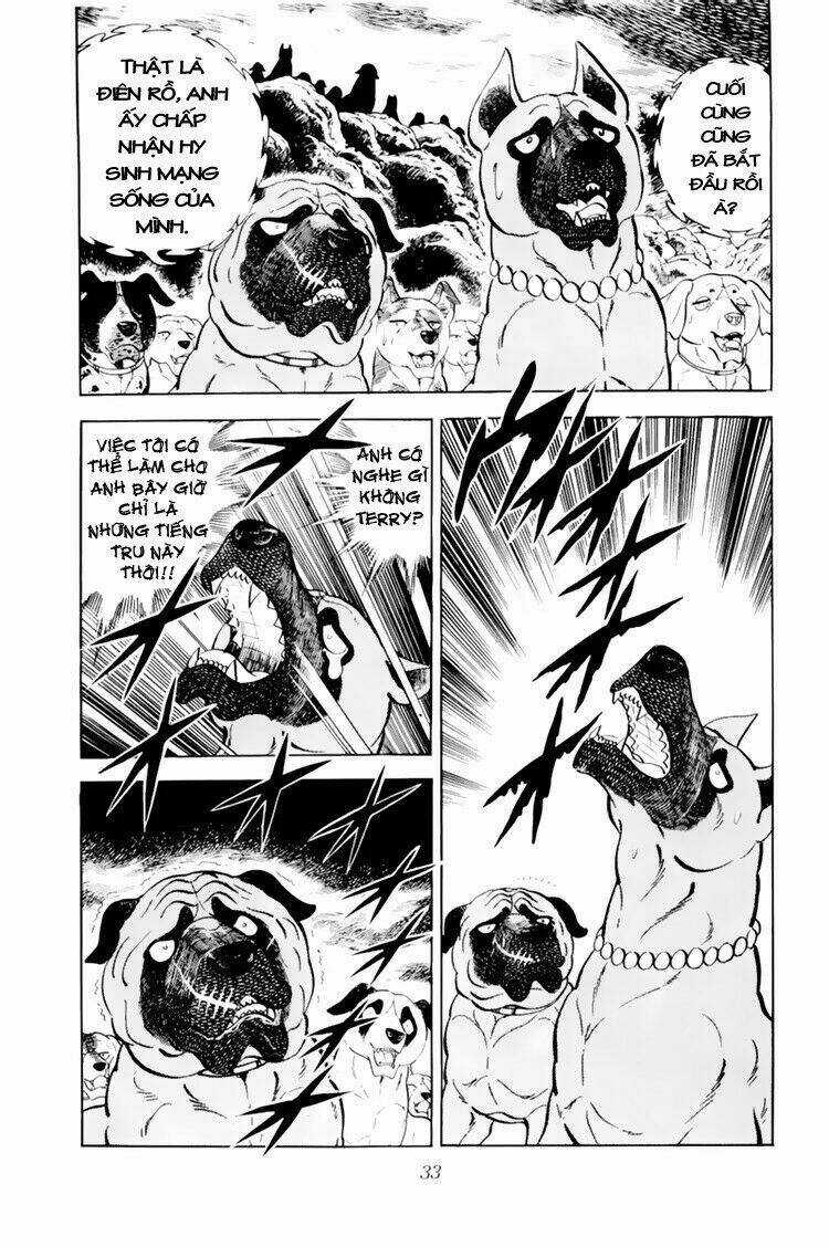 Chú Chó Có Nghĩa - Ginga Nagareboshi Gin Chapter 31 trang 32