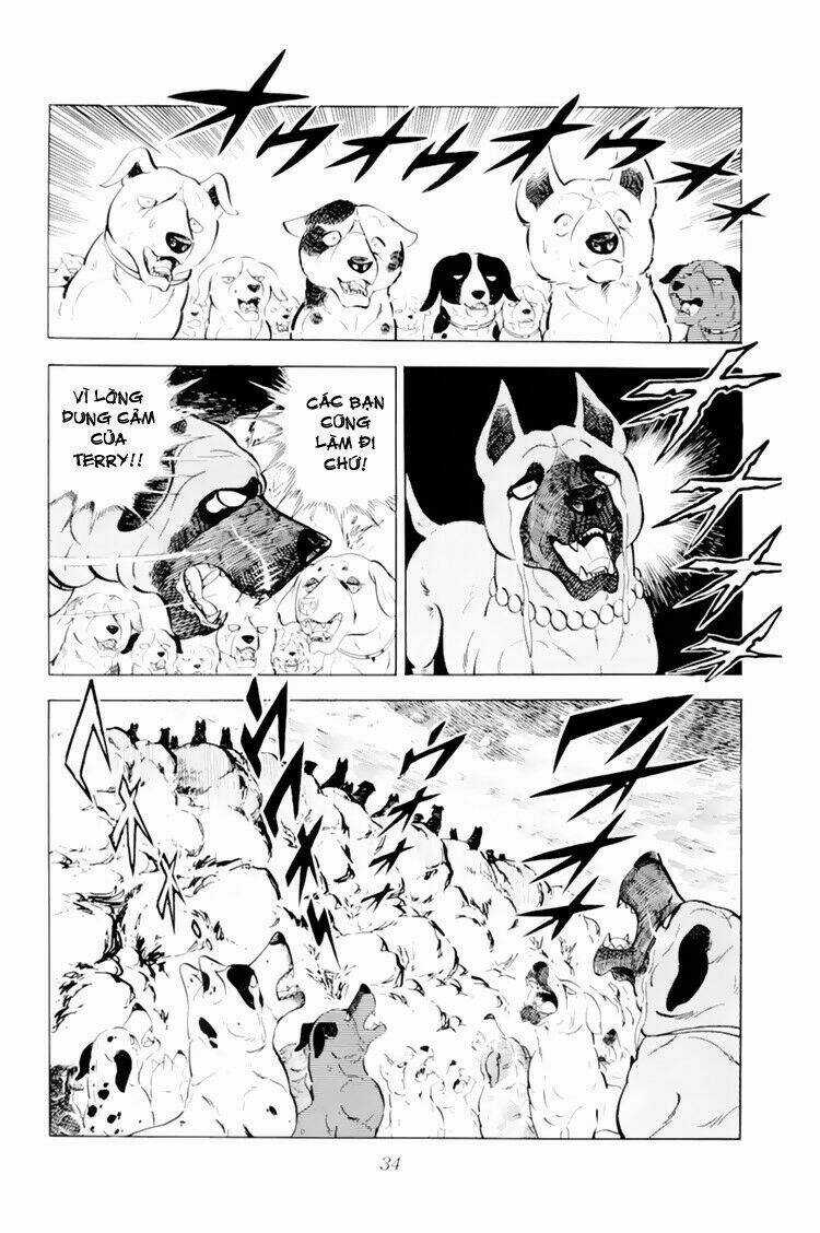 Chú Chó Có Nghĩa - Ginga Nagareboshi Gin Chapter 31 trang 33