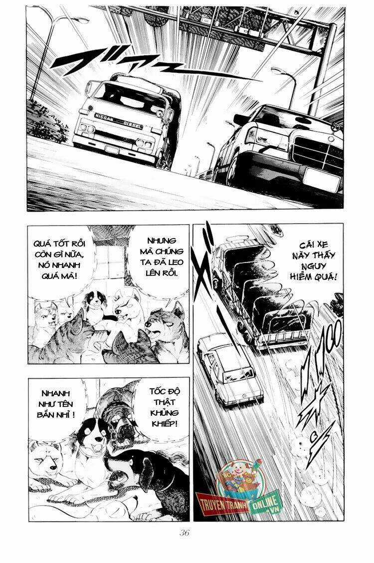 Chú Chó Có Nghĩa - Ginga Nagareboshi Gin Chapter 31 trang 35