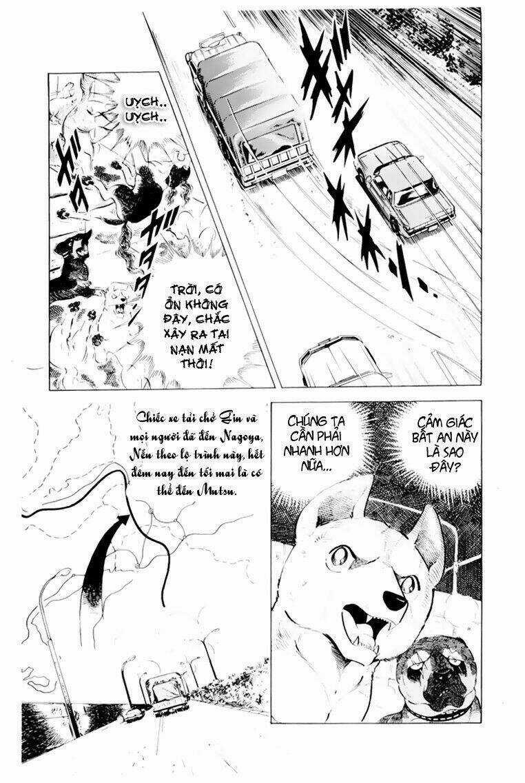 Chú Chó Có Nghĩa - Ginga Nagareboshi Gin Chapter 31 trang 36