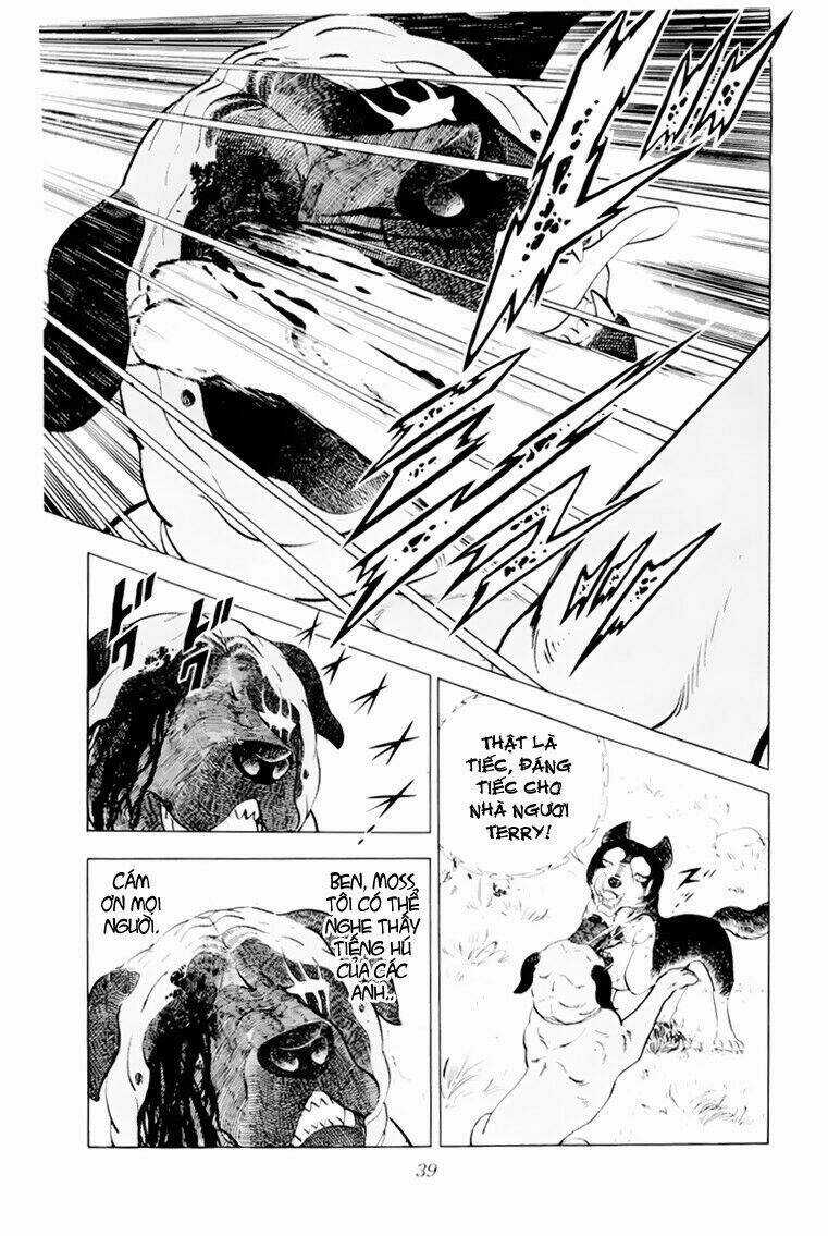 Chú Chó Có Nghĩa - Ginga Nagareboshi Gin Chapter 31 trang 38