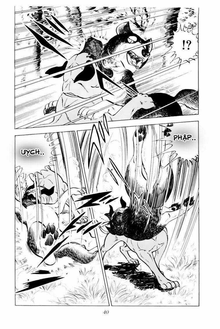 Chú Chó Có Nghĩa - Ginga Nagareboshi Gin Chapter 31 trang 39