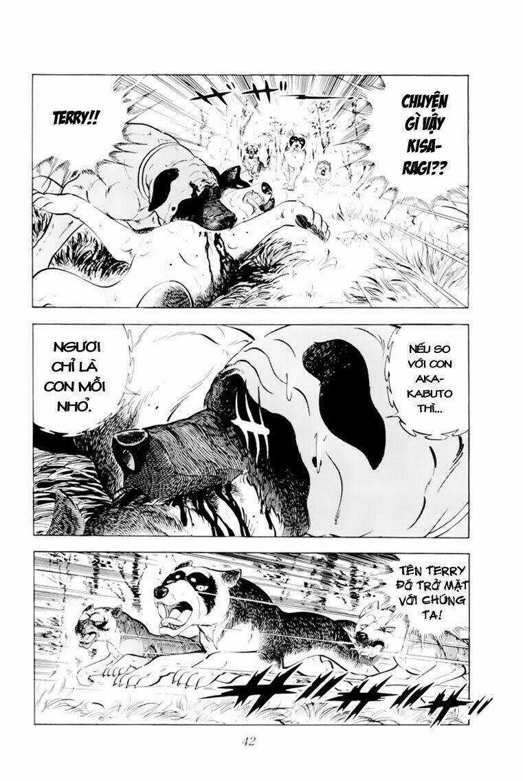 Chú Chó Có Nghĩa - Ginga Nagareboshi Gin Chapter 31 trang 41