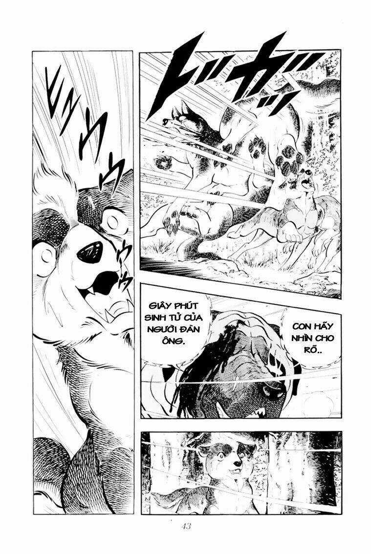 Chú Chó Có Nghĩa - Ginga Nagareboshi Gin Chapter 31 trang 42