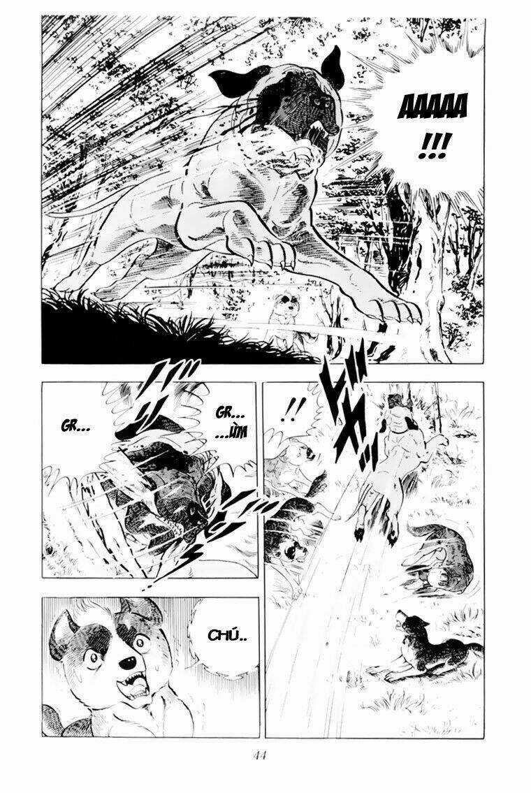 Chú Chó Có Nghĩa - Ginga Nagareboshi Gin Chapter 31 trang 43