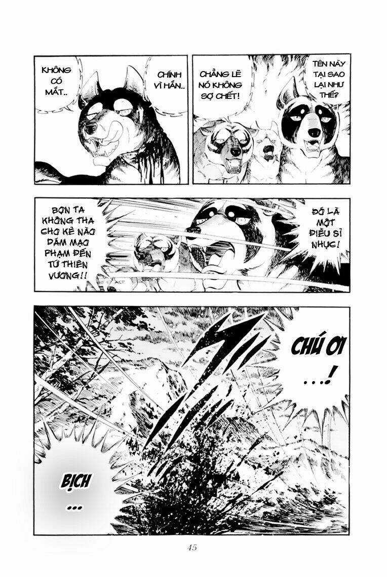 Chú Chó Có Nghĩa - Ginga Nagareboshi Gin Chapter 31 trang 44