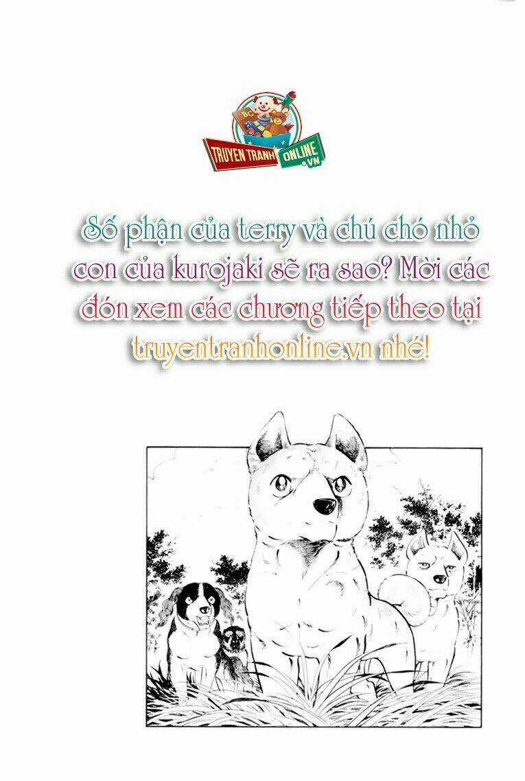 Chú Chó Có Nghĩa - Ginga Nagareboshi Gin Chapter 31 trang 45