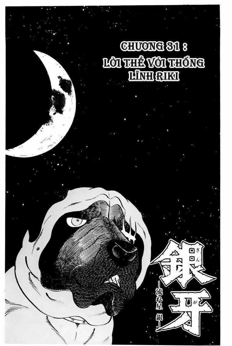 Chú Chó Có Nghĩa - Ginga Nagareboshi Gin Chapter 31 trang 5