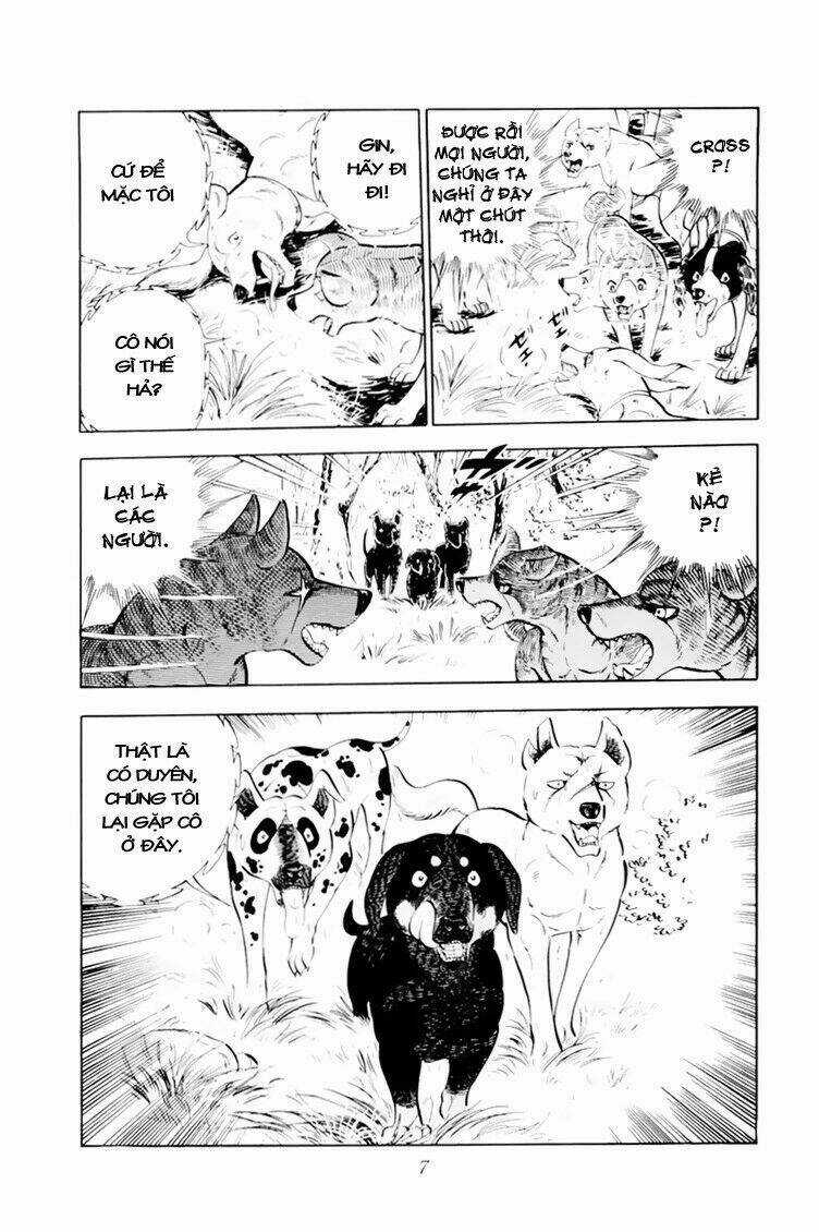 Chú Chó Có Nghĩa - Ginga Nagareboshi Gin Chapter 31 trang 7