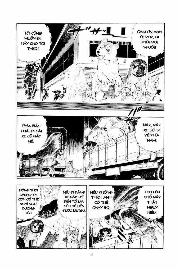 Chú Chó Có Nghĩa - Ginga Nagareboshi Gin Chapter 31 trang 9