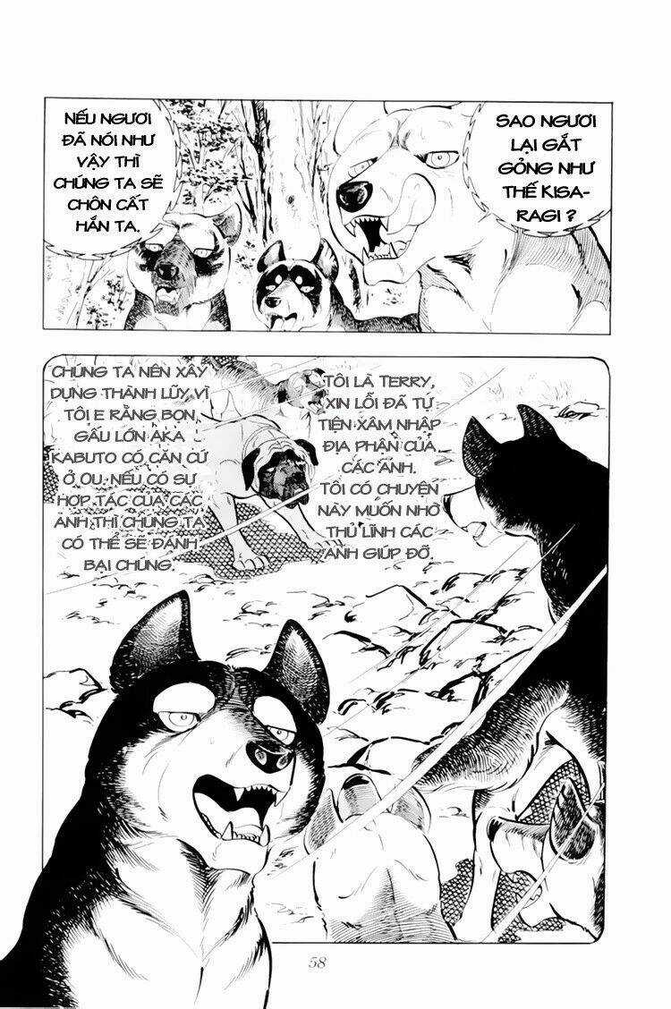 Chú Chó Có Nghĩa - Ginga Nagareboshi Gin Chapter 32.1 trang 11