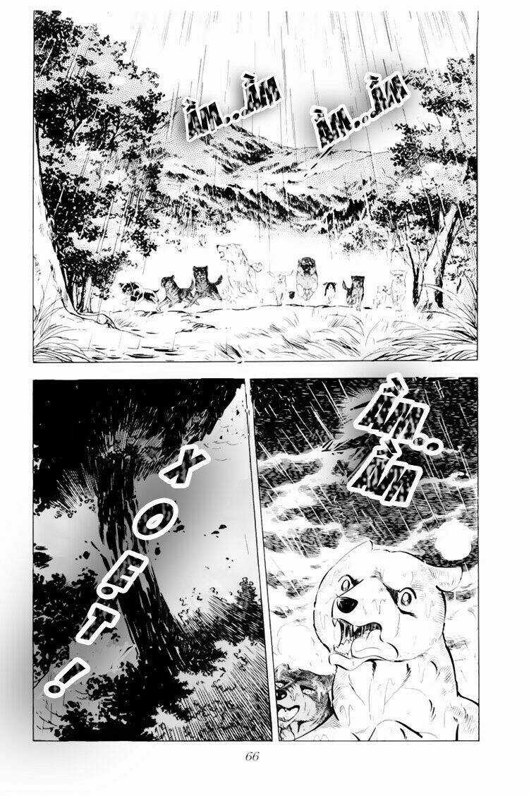 Chú Chó Có Nghĩa - Ginga Nagareboshi Gin Chapter 32.1 trang 19
