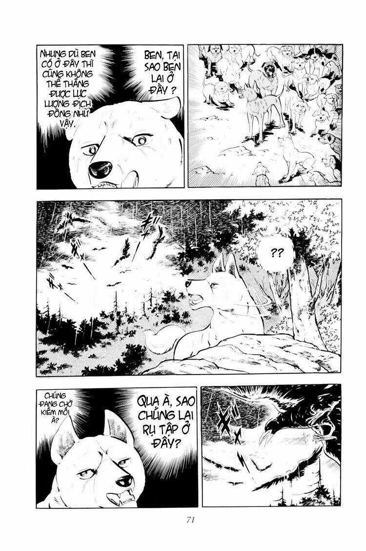 Chú Chó Có Nghĩa - Ginga Nagareboshi Gin Chapter 32.1 trang 24