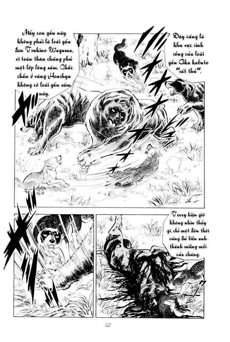 Chú Chó Có Nghĩa - Ginga Nagareboshi Gin Chapter 32.1 trang 5
