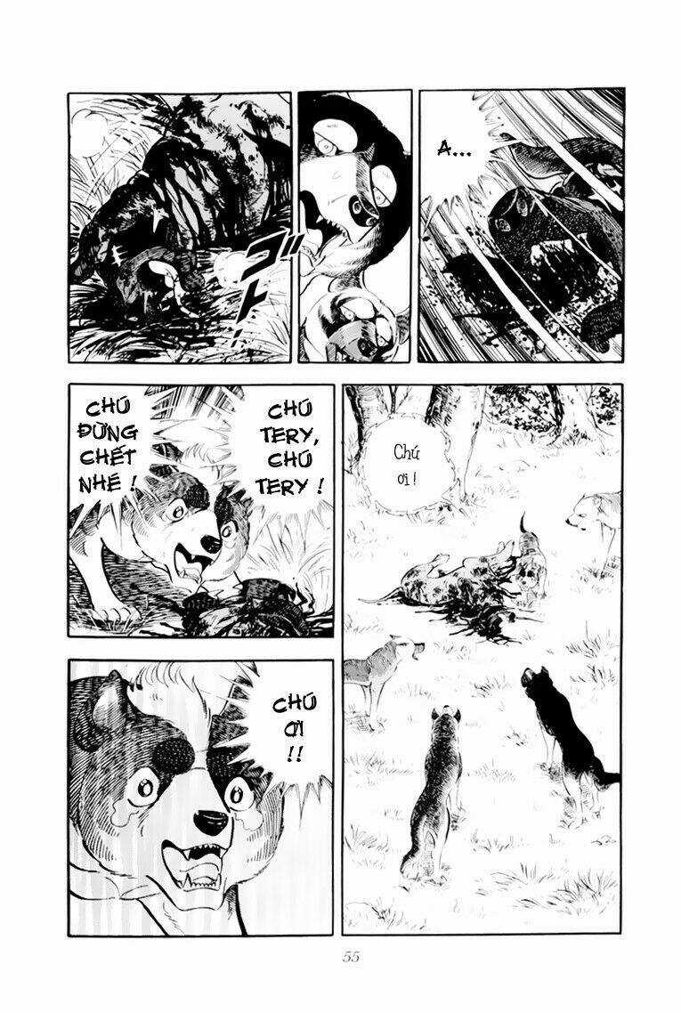 Chú Chó Có Nghĩa - Ginga Nagareboshi Gin Chapter 32.1 trang 8