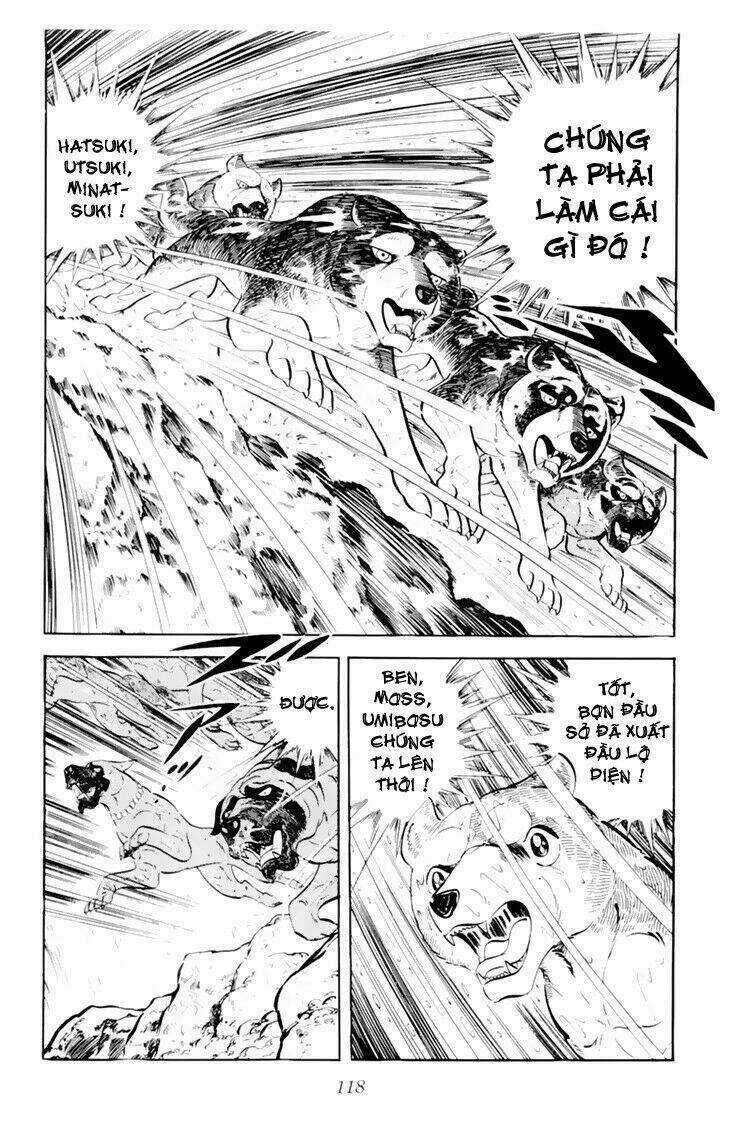 Chú Chó Có Nghĩa - Ginga Nagareboshi Gin Chapter 33.1 trang 12