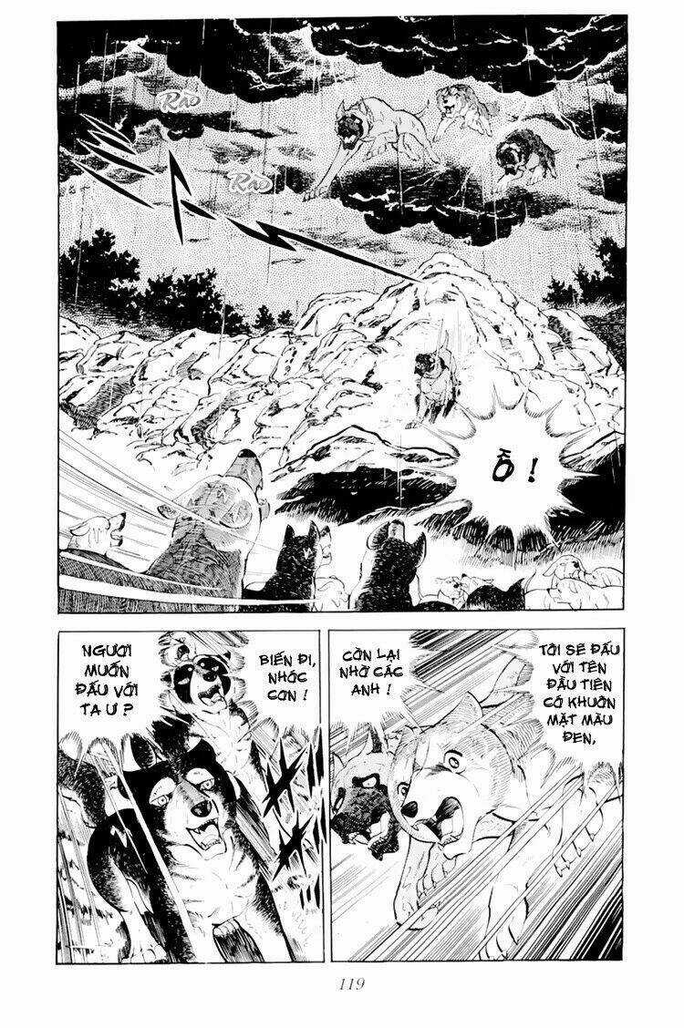 Chú Chó Có Nghĩa - Ginga Nagareboshi Gin Chapter 33.1 trang 13