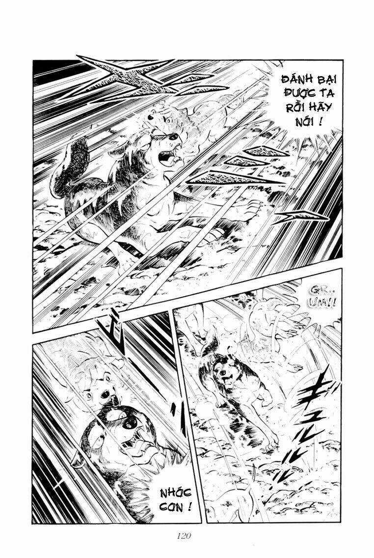 Chú Chó Có Nghĩa - Ginga Nagareboshi Gin Chapter 33.1 trang 14