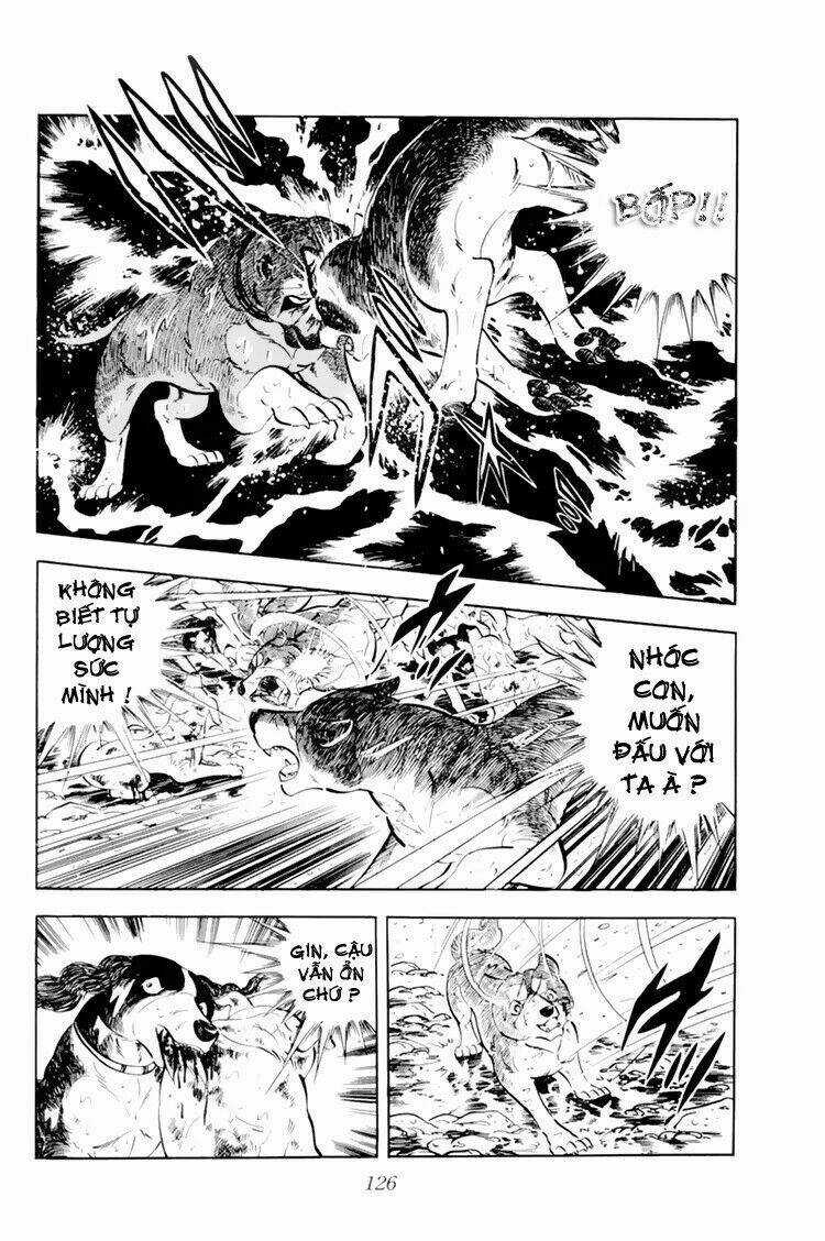 Chú Chó Có Nghĩa - Ginga Nagareboshi Gin Chapter 33.1 trang 19