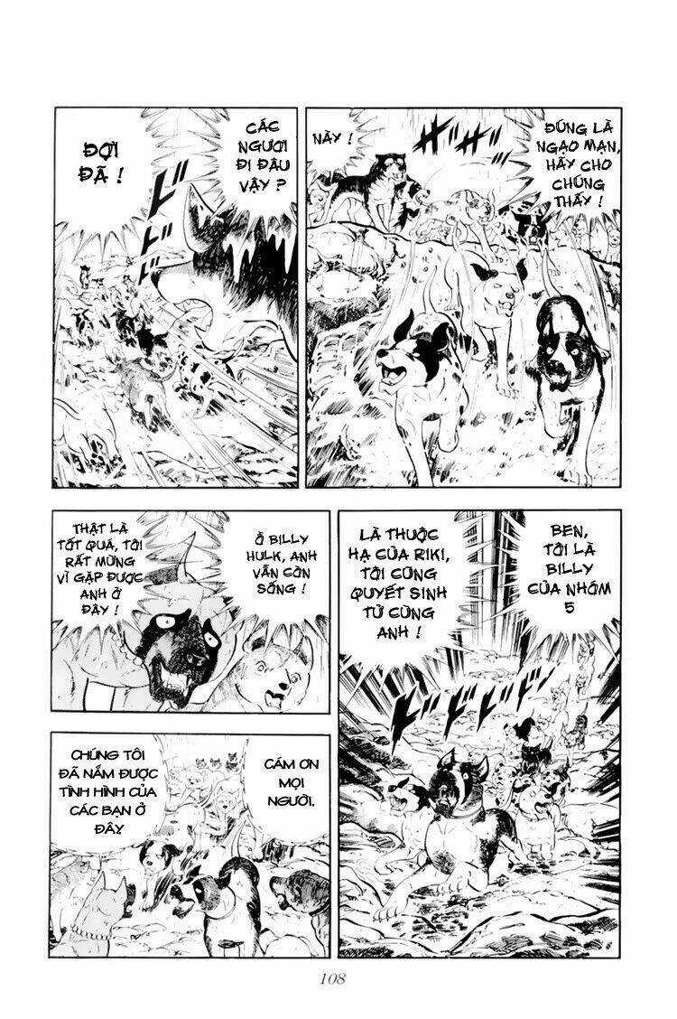 Chú Chó Có Nghĩa - Ginga Nagareboshi Gin Chapter 33.1 trang 2