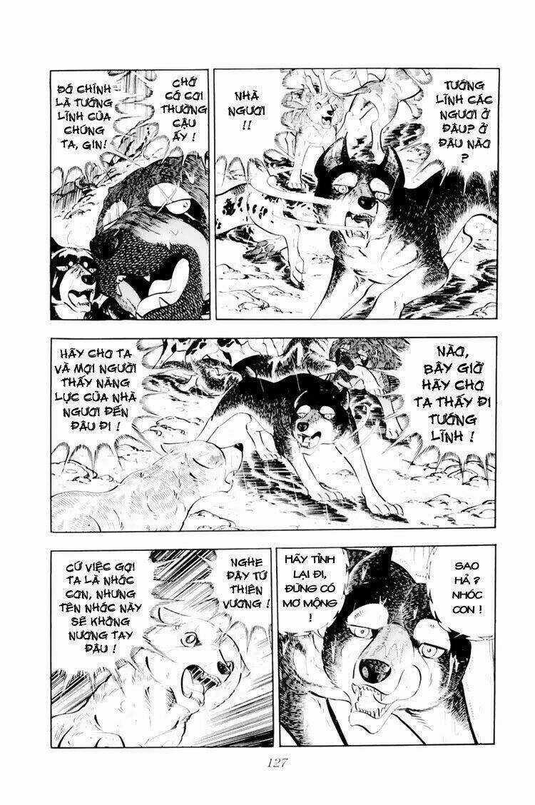 Chú Chó Có Nghĩa - Ginga Nagareboshi Gin Chapter 33.1 trang 20
