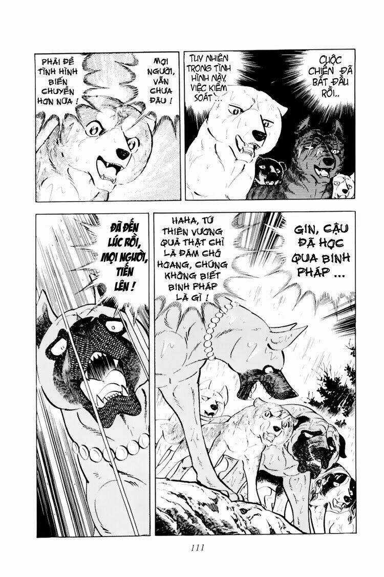 Chú Chó Có Nghĩa - Ginga Nagareboshi Gin Chapter 33.1 trang 5