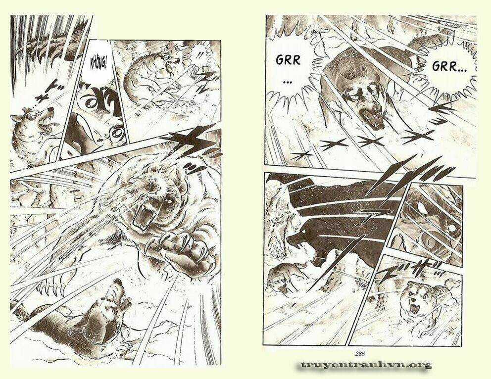 Chú Chó Có Nghĩa - Ginga Nagareboshi Gin Chapter 5 trang 11