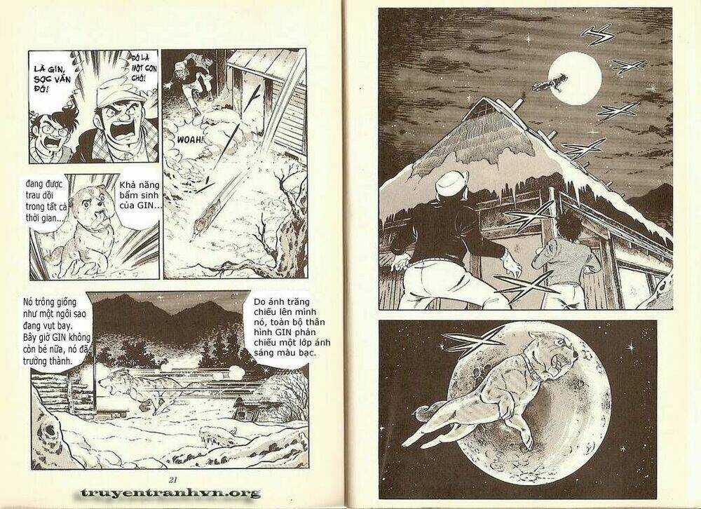Chú Chó Có Nghĩa - Ginga Nagareboshi Gin Chapter 7 trang 7