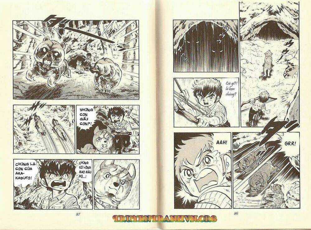 Chú Chó Có Nghĩa - Ginga Nagareboshi Gin Chapter 8 trang 13