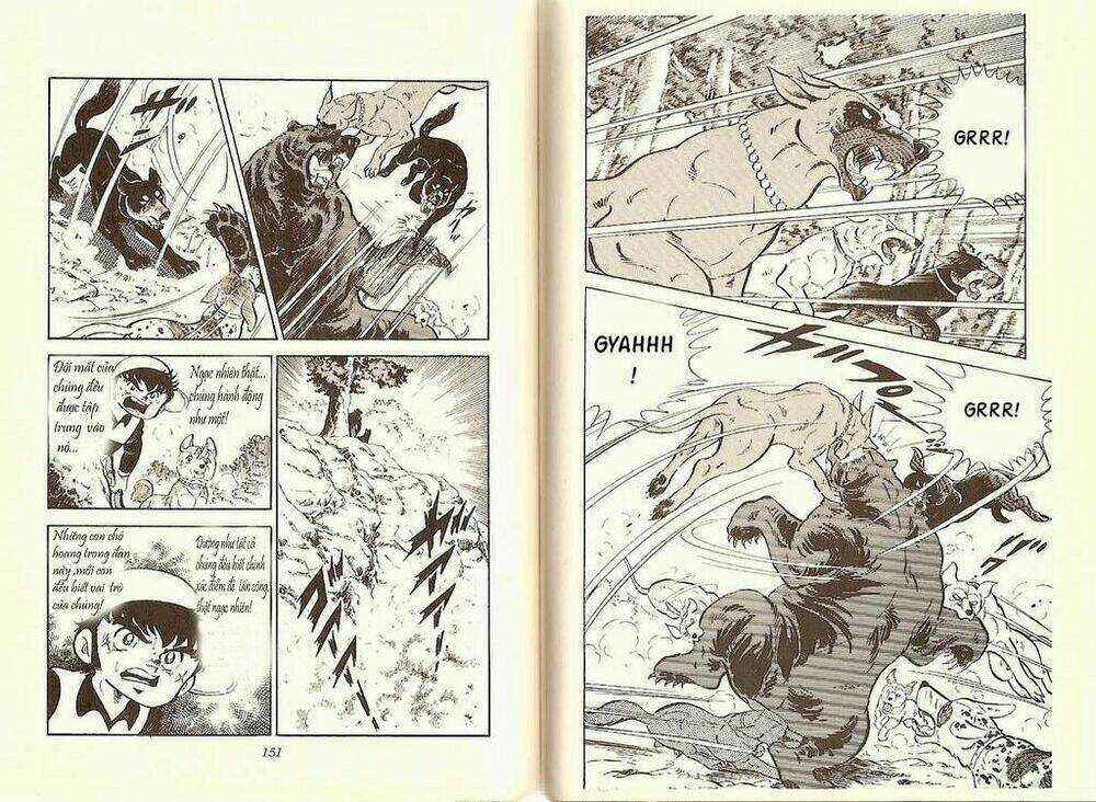 Chú Chó Có Nghĩa - Ginga Nagareboshi Gin Chapter 9 trang 16