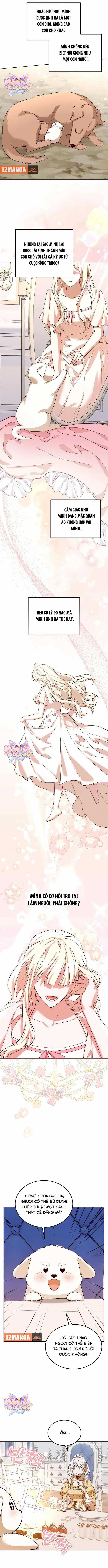 Chú Cún Cưng Của Hoàng Đế Chapter 10 trang 2