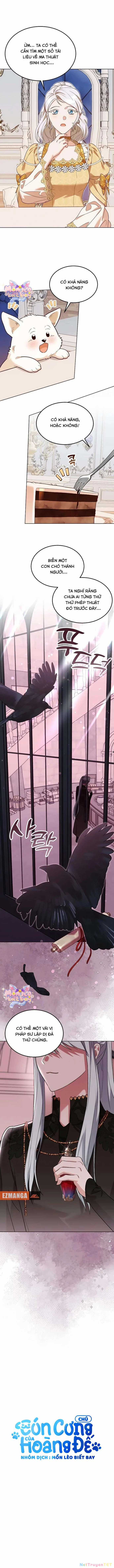 Chú Cún Cưng Của Hoàng Đế Chapter 10 trang 3