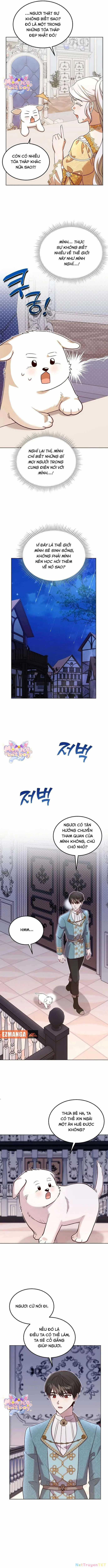 Chú Cún Cưng Của Hoàng Đế Chapter 10 trang 6