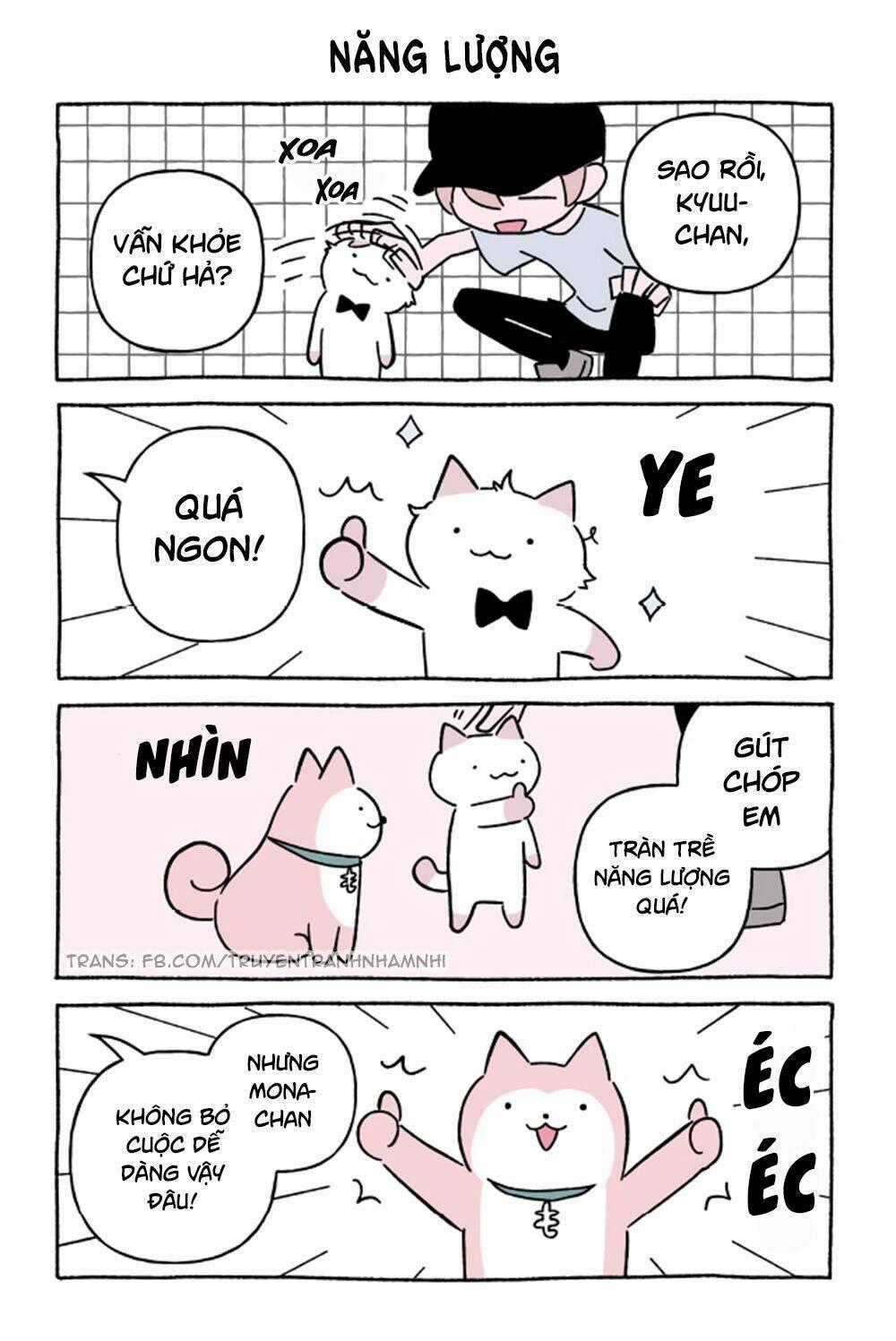 Chú Mèo Kỳ Diệu Kyuu-Chan Chapter 620 trang 1
