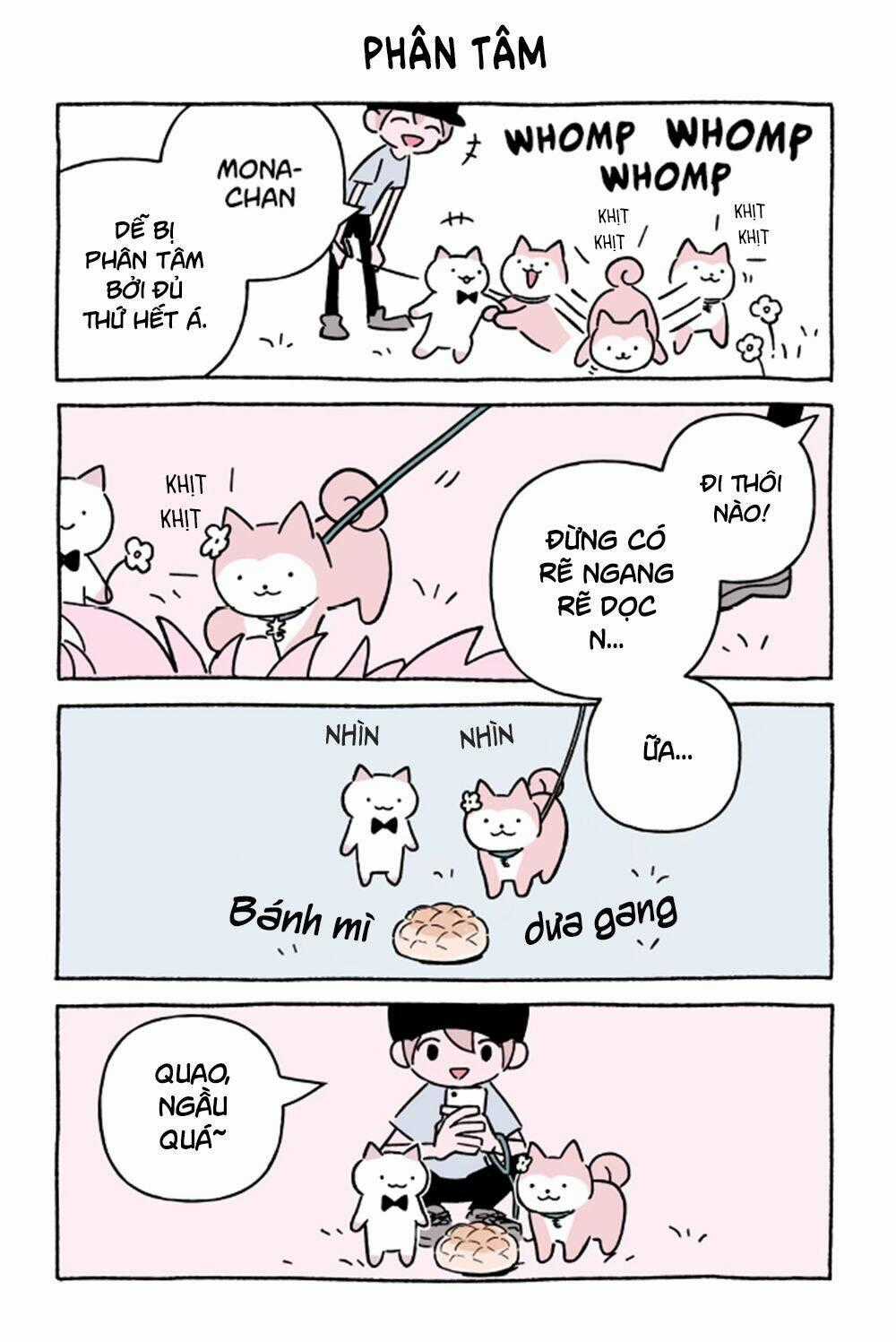 Chú Mèo Kỳ Diệu Kyuu-Chan Chapter 621 trang 1